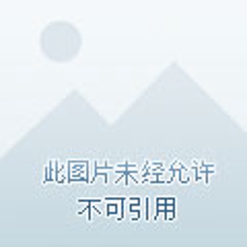 电商服务公司的崛起与变革